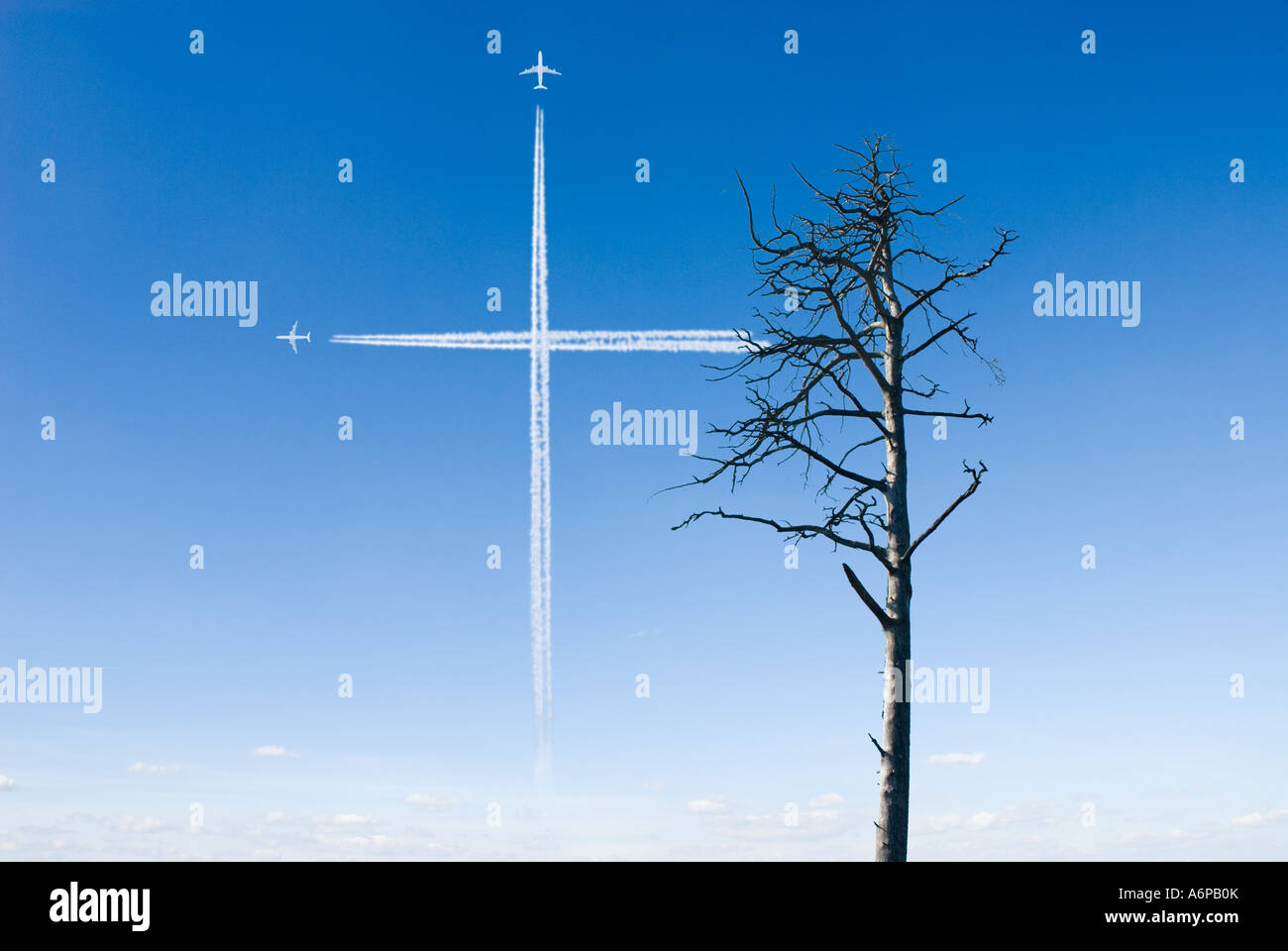 dead pine tree in Germany and condensation trails in shape of a cross meaning one can bury nature in Europe Stock Photo