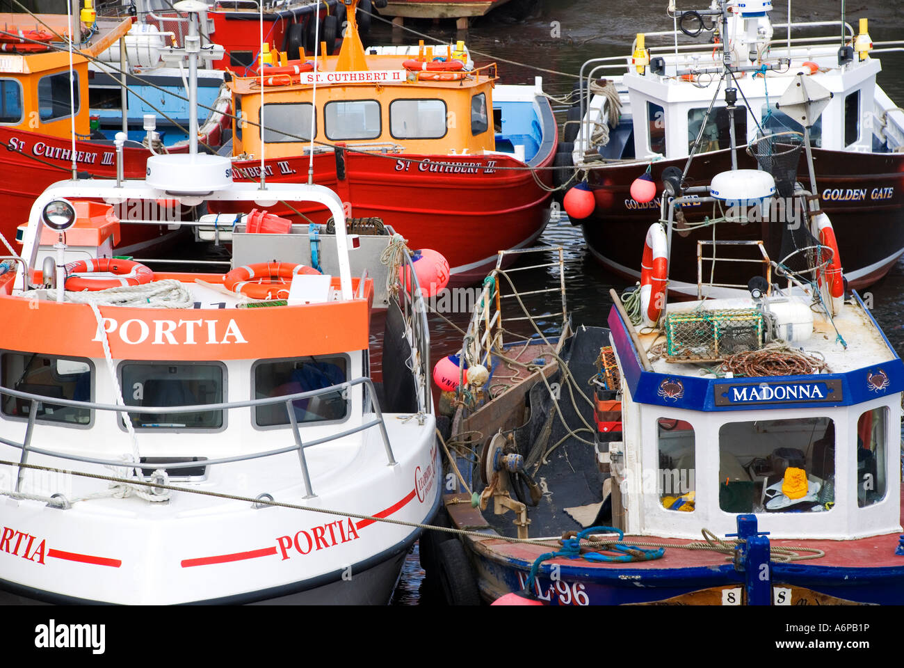 Fishing boats in Seahouses Harbour, Northumberland, UK Stock Photo - Alamy