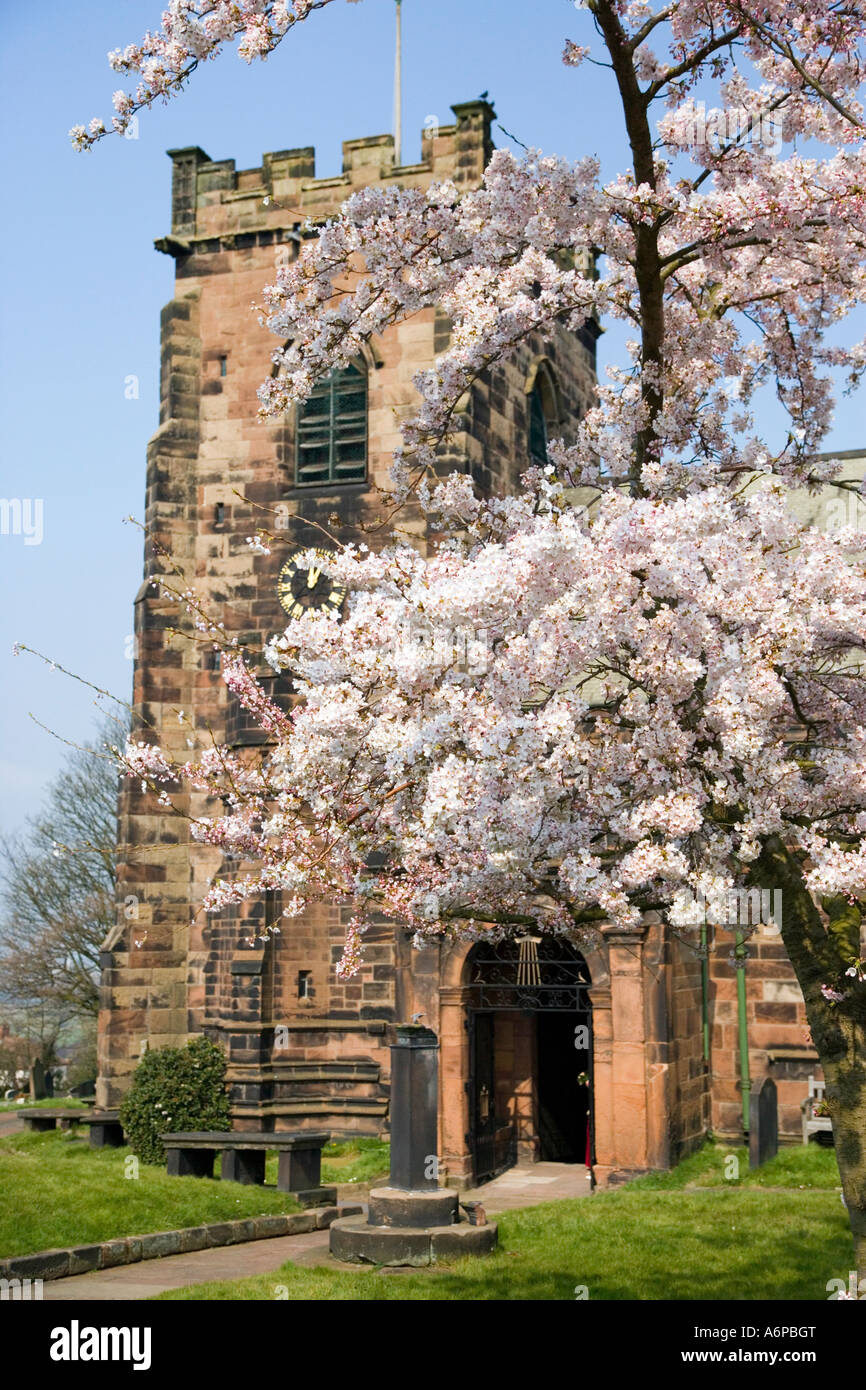 Church against blue sky with tree in full blossom Stock Photo