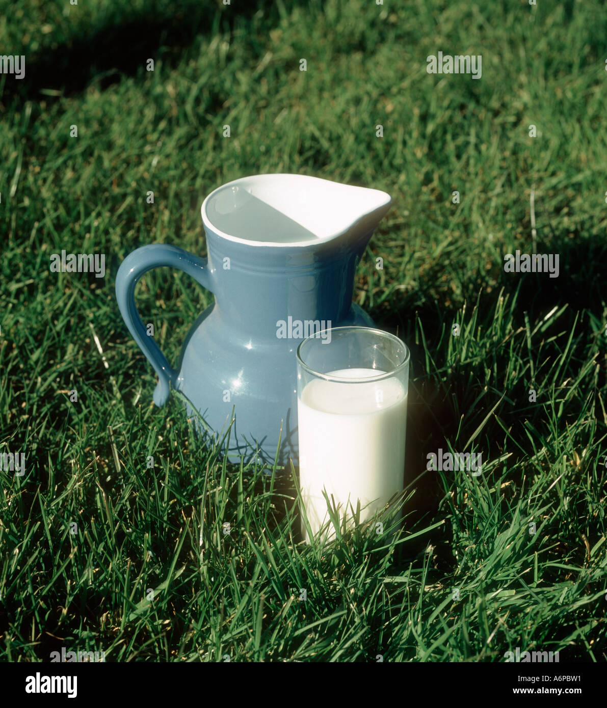 A glass of milk and a blue white jug standing in grass pasture Stock Photo