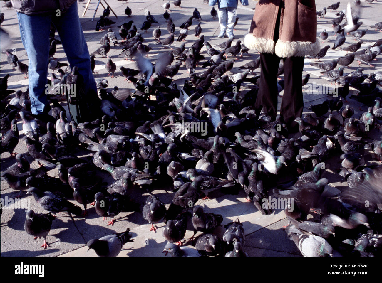 VENICE ITALY JANUARY. Stock Photo