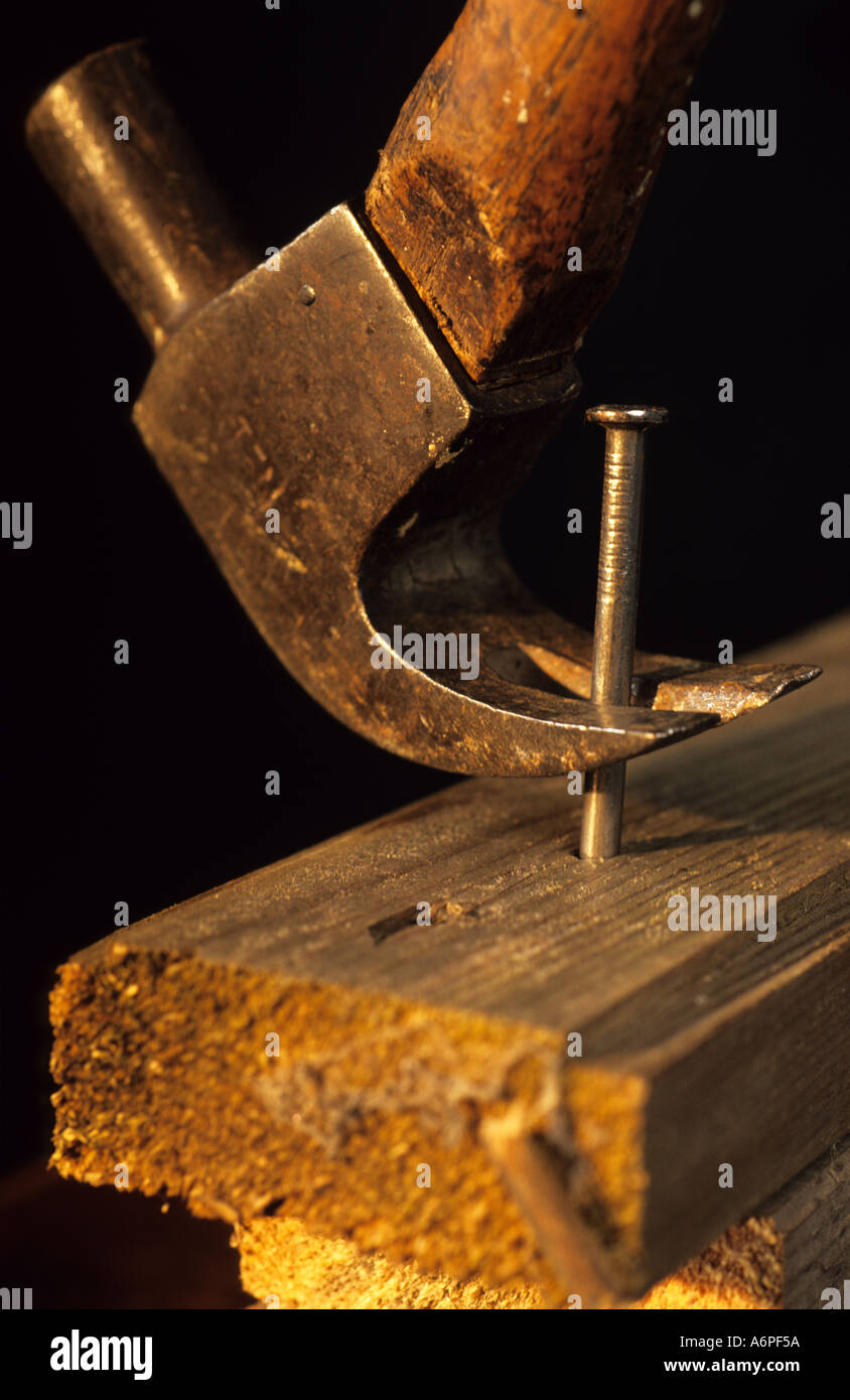 claw hammer levering nail out of lump of wood Stock Photo