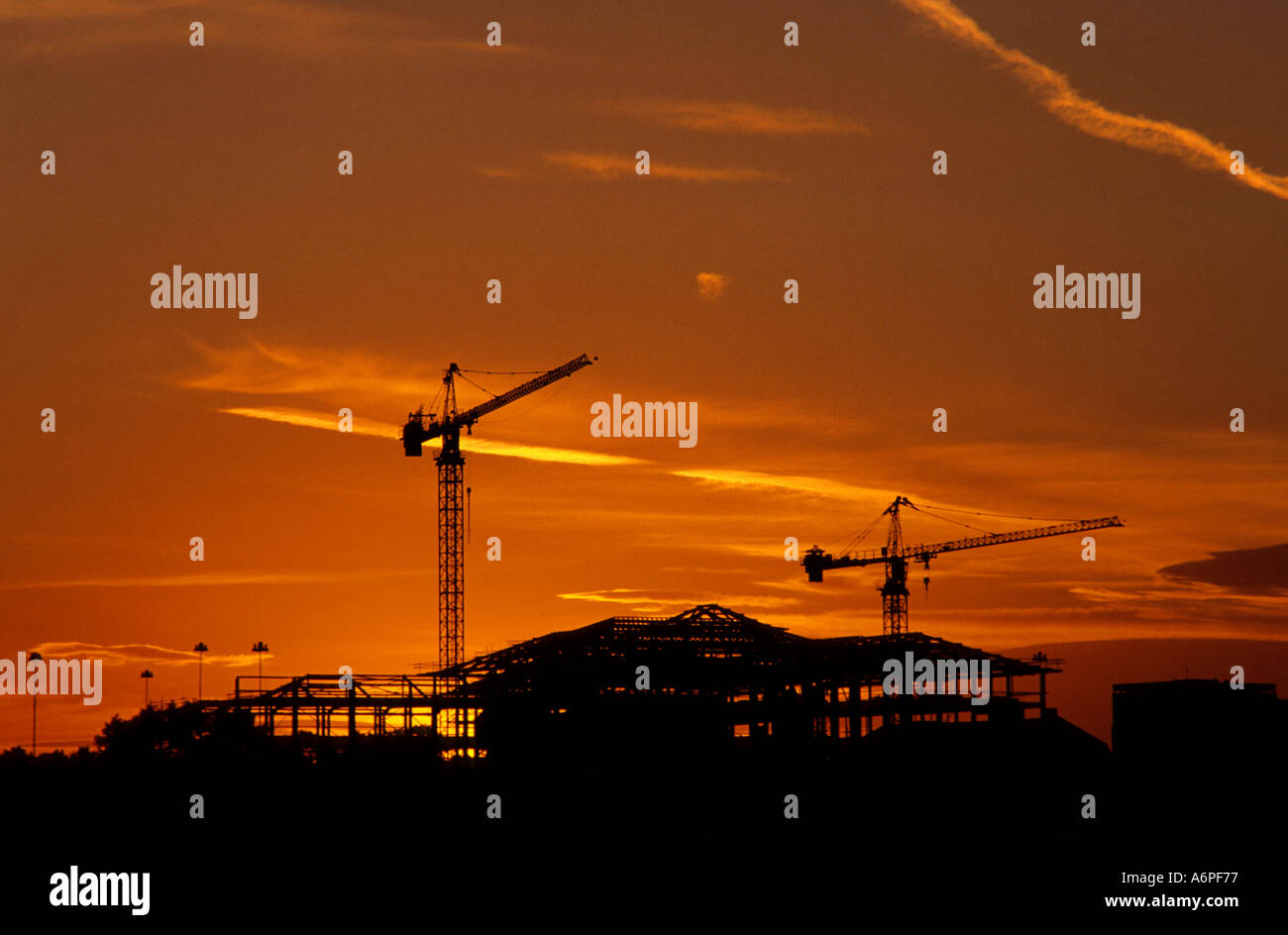 cranes on building site in the city of leeds at sunset yorkshire uk Stock Photo