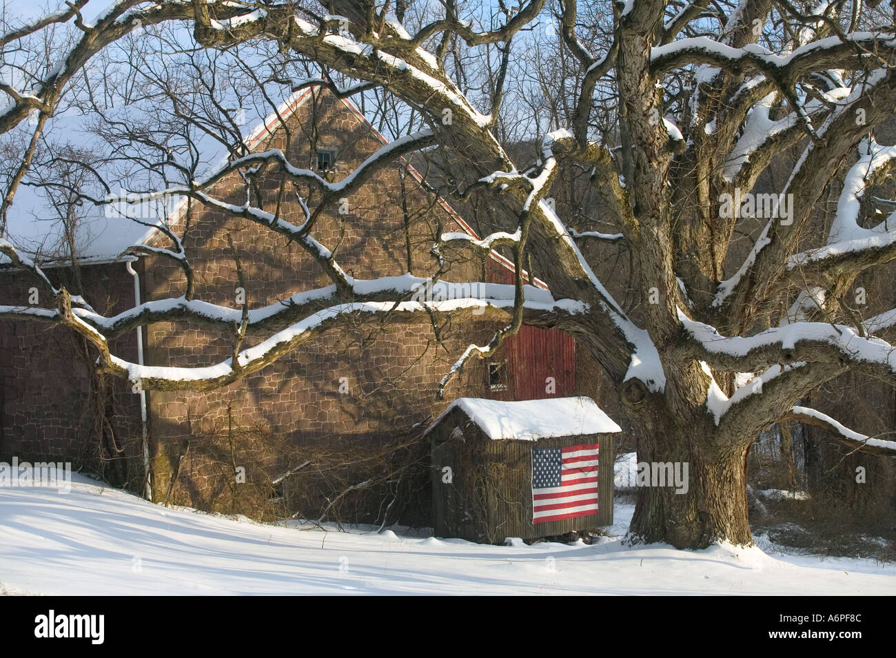 An American Flag Stands Out Beautifully As It Is Bathed By Low