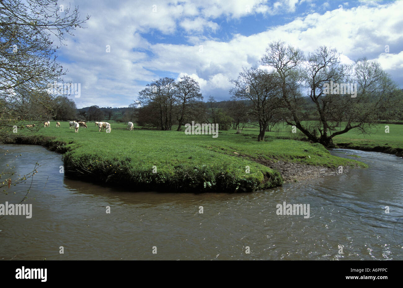The river Otter near Monkton in the Blackdown Hills AONB East Devon