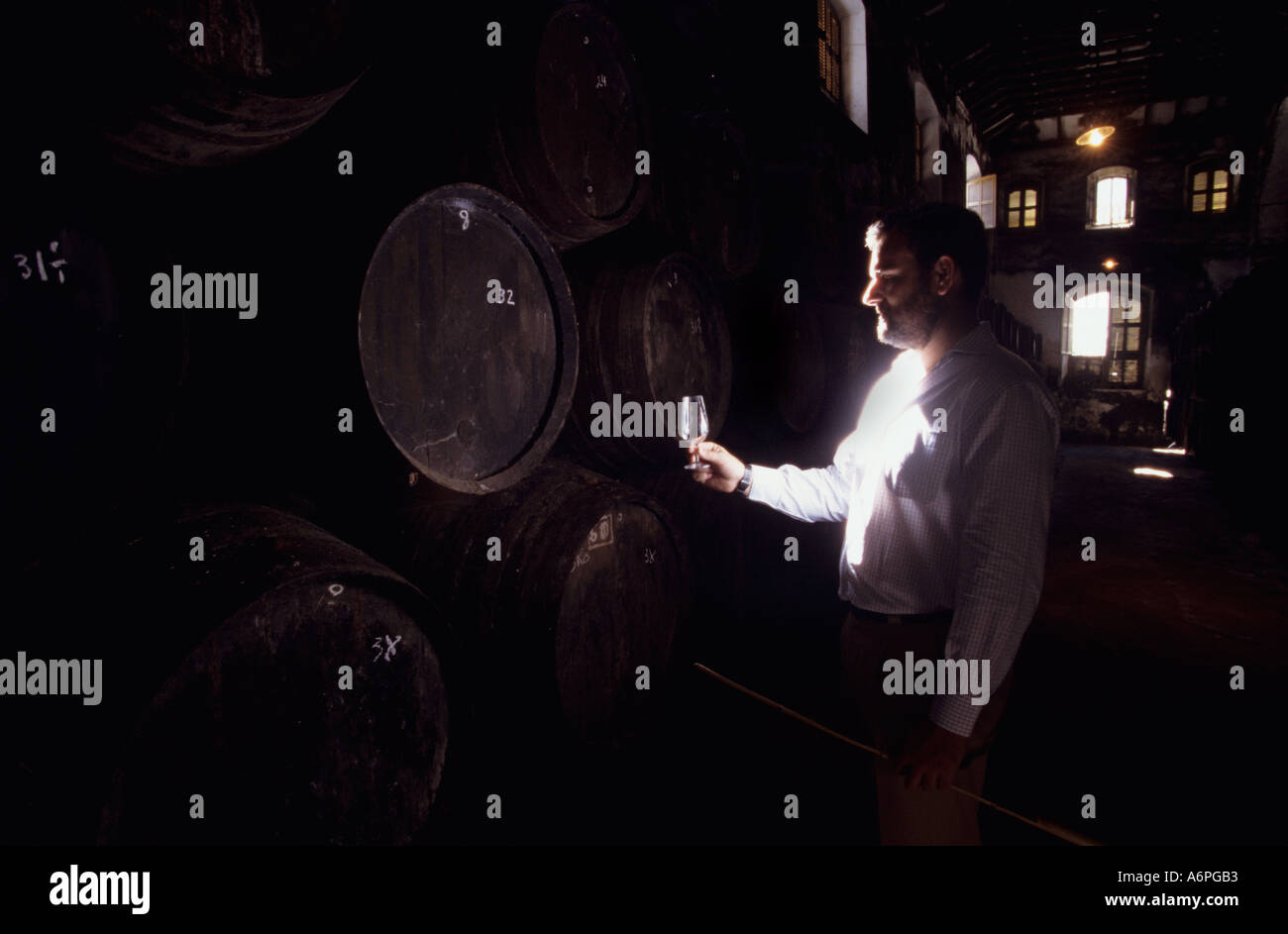 winemaker with sample in front of maturing vats in a winery in Spain Stock Photo