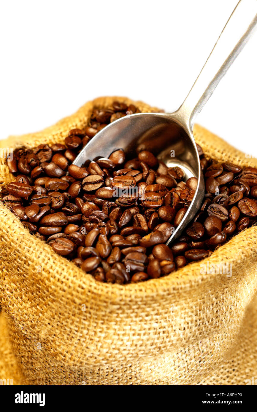 A SACK OF COFFEE / COCOA BEANS WITH A METAL SCOOP Stock Photo