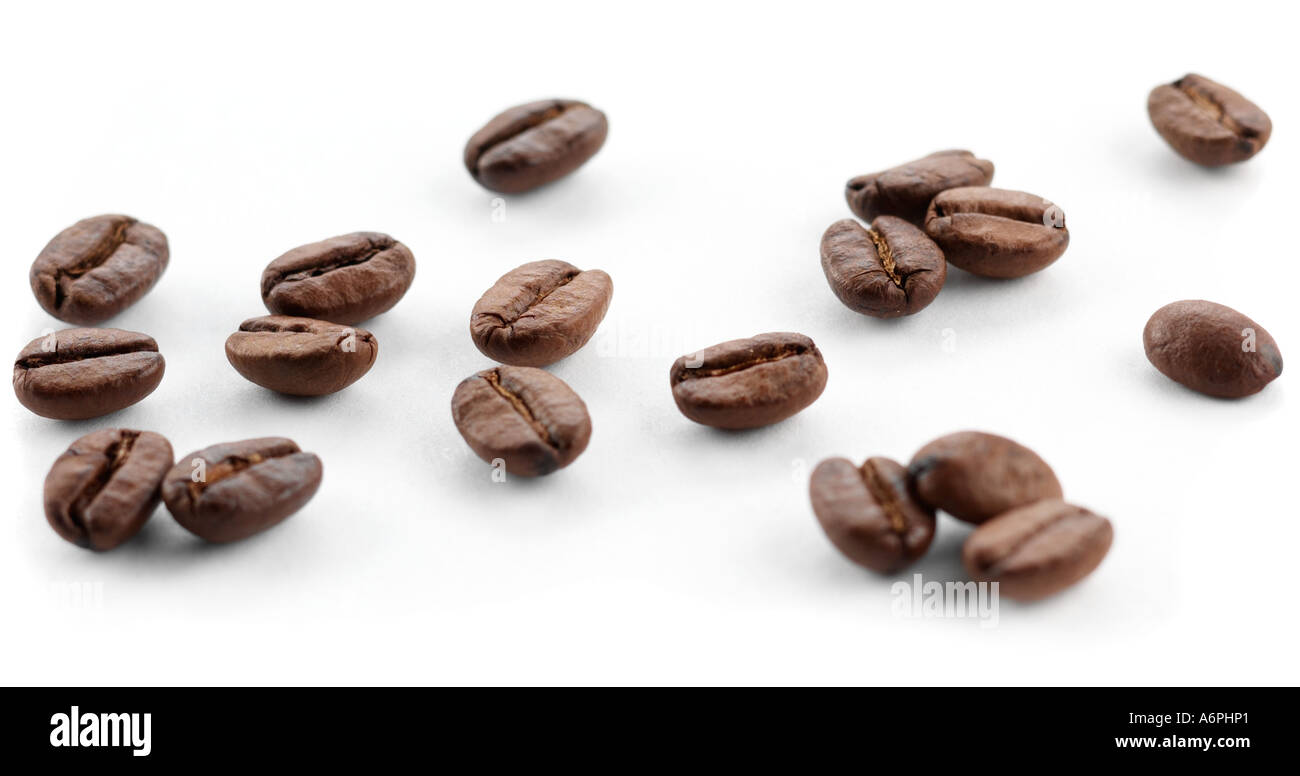 CLOSE UP OF COFFEE/ COCOA  BEANS ON A WHITE BACKGROUND Stock Photo