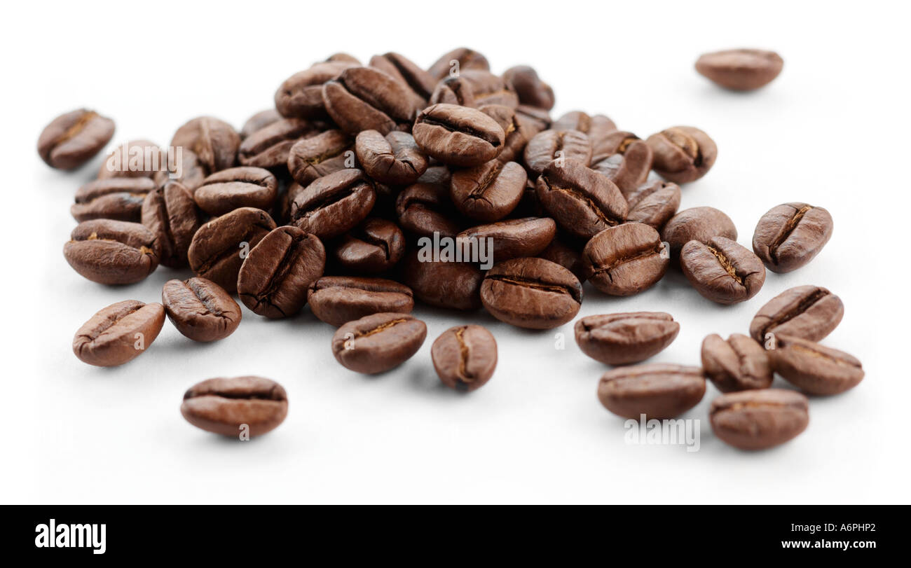 CLOSE UP OF A PILE OF COFFEE/ COCOA  BEANS ON A WHITE BACKGROUND Stock Photo