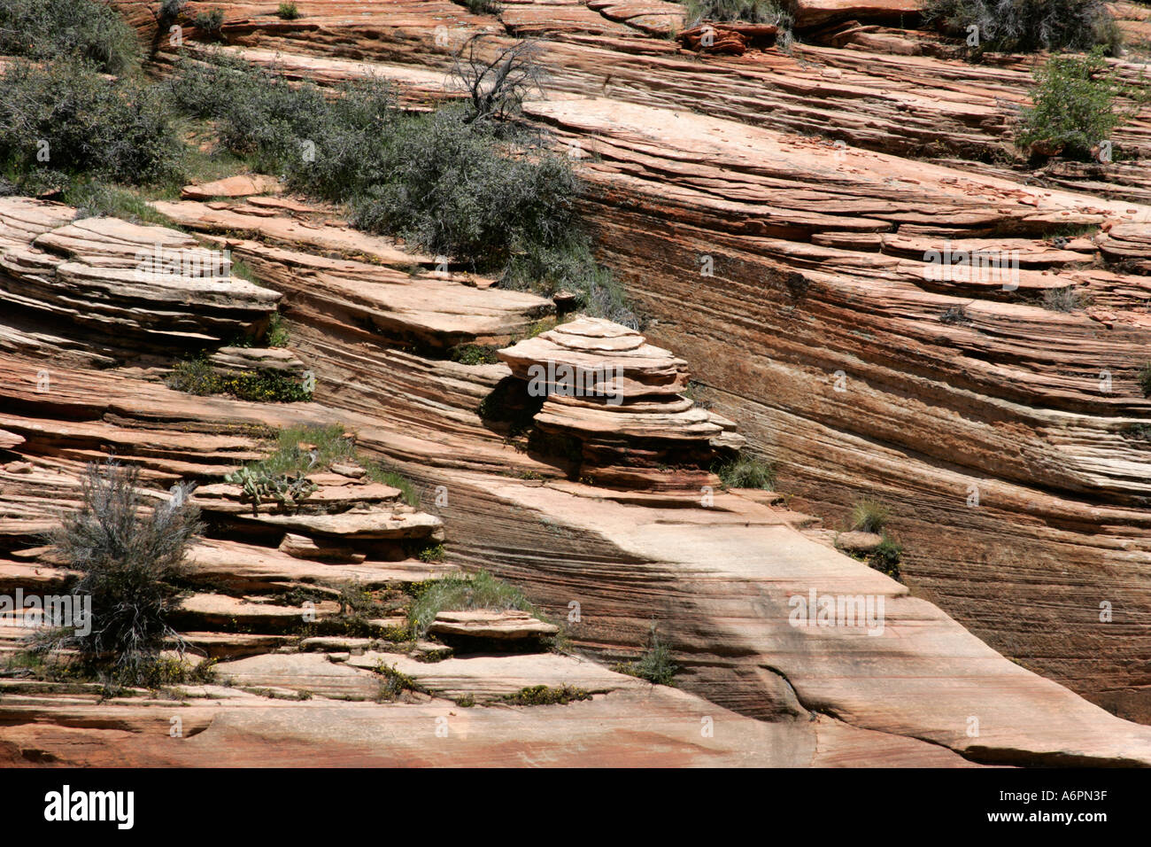 Layers of Sandstone, east side of Zion National Park, Utah, USA Stock Photo