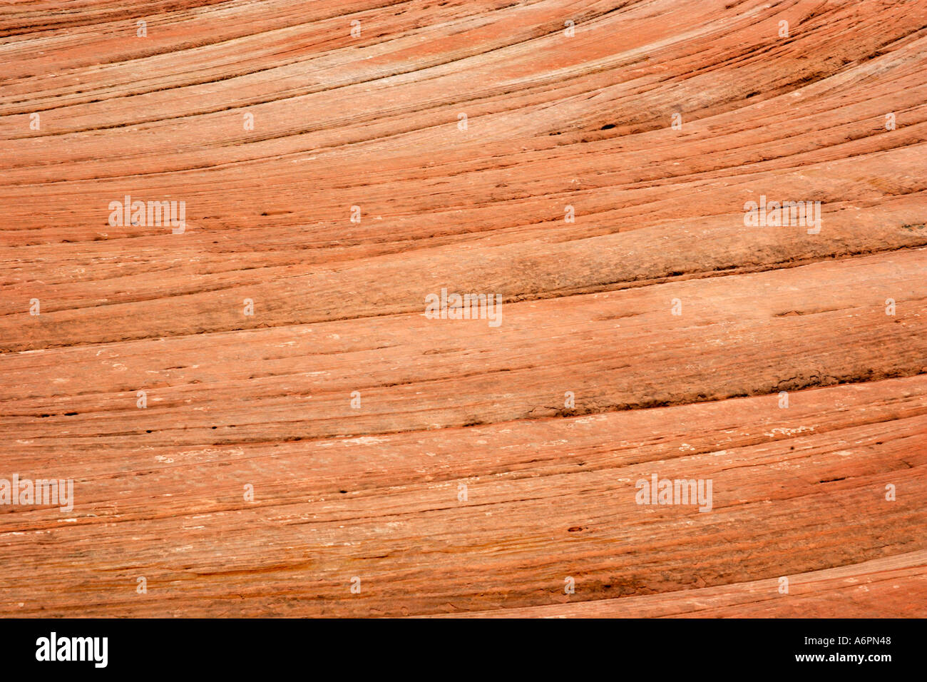 Navajo Sandstone, Zion National Park, Utah, USA Stock Photo