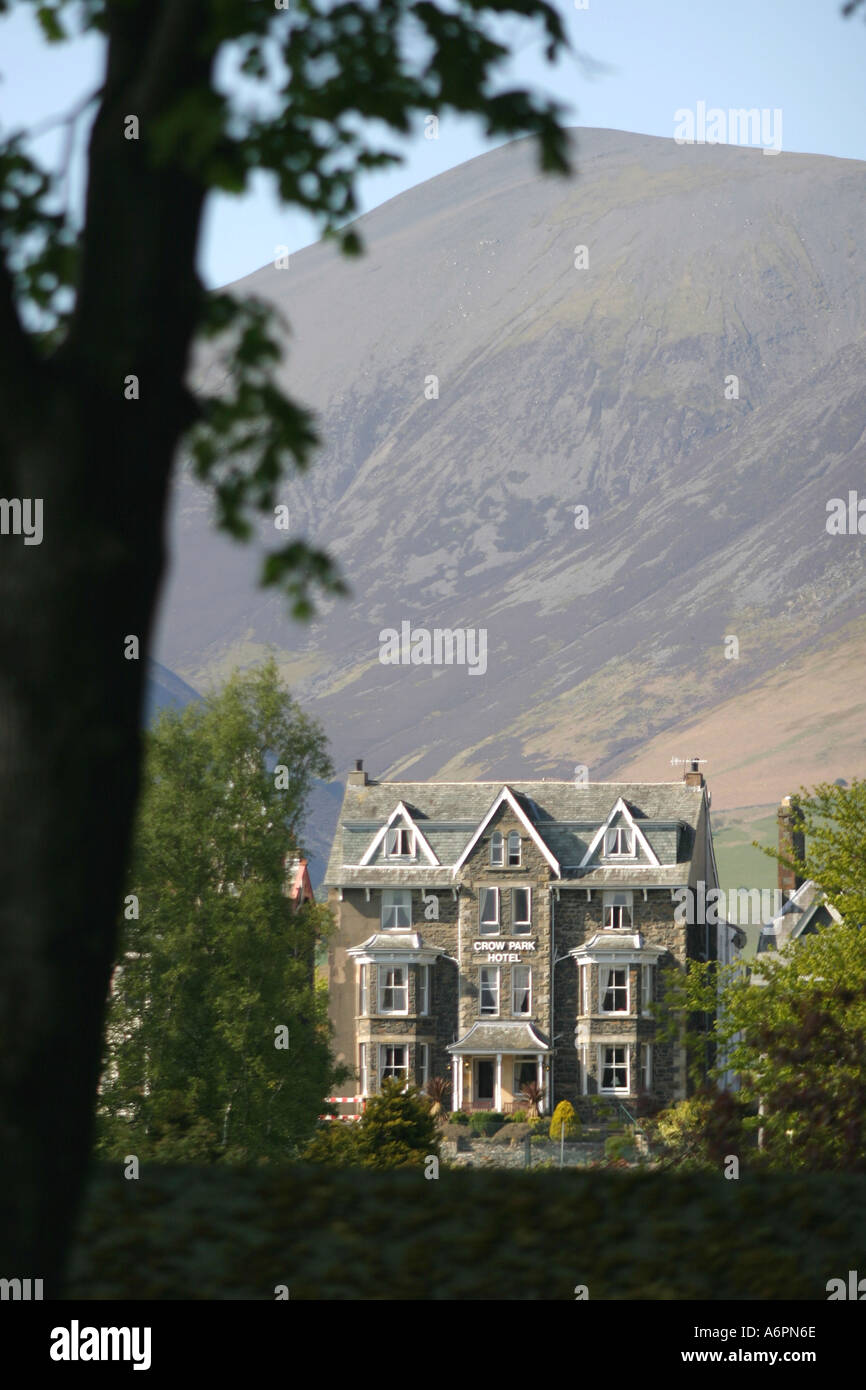 Keswick Hotel: Birds of prey