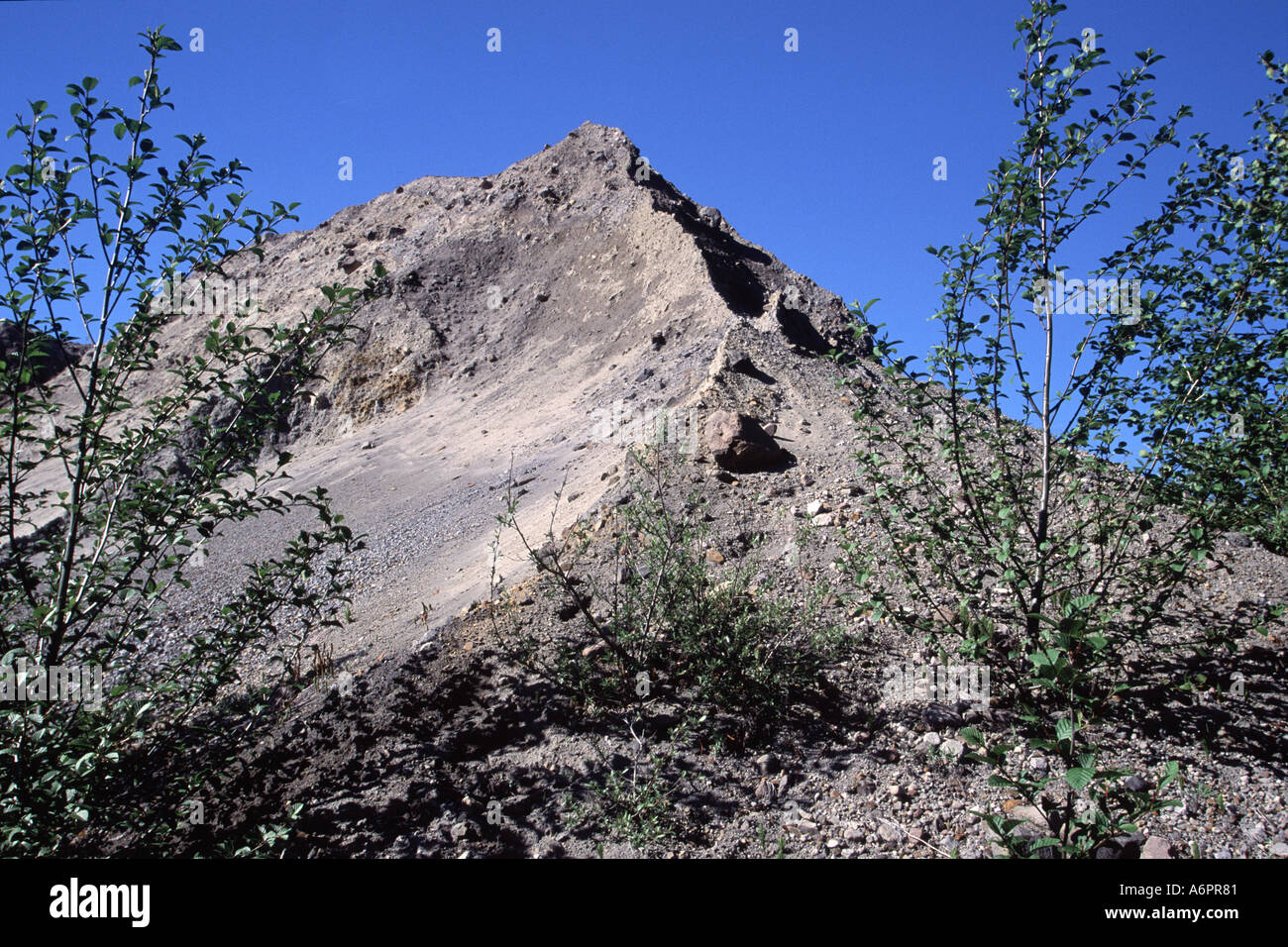 Hummock, Mt St Helens National Volcanic Monument, Washington, USA Stock Photo