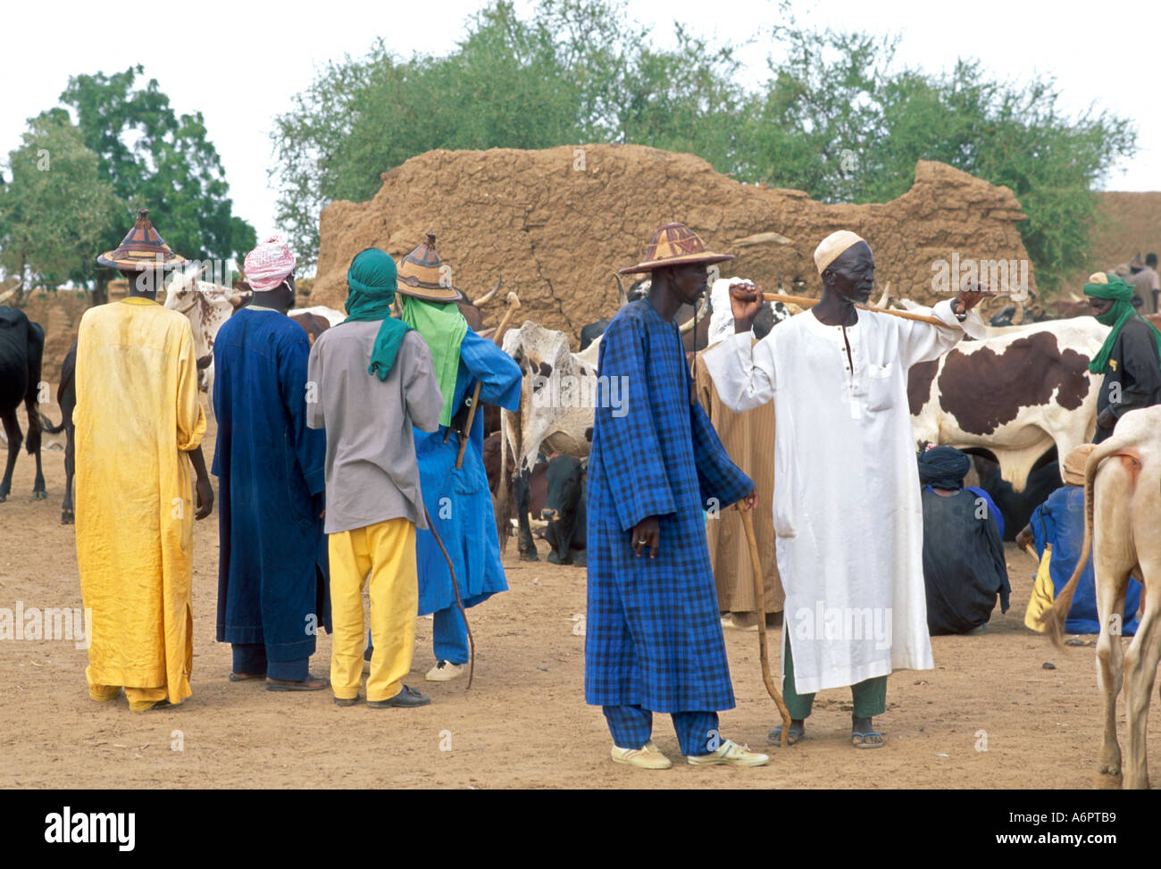 Buyers at a traditional cattle market.Gorom Gorom, Burkina Faso Stock Photo