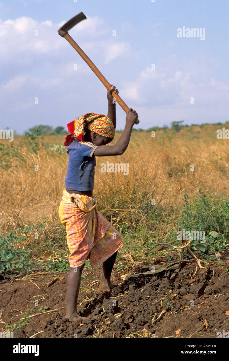 Girl clearing land with an adze prior to planting on a poor family smallholding in rural Eswatini (Swaziland) Stock Photo