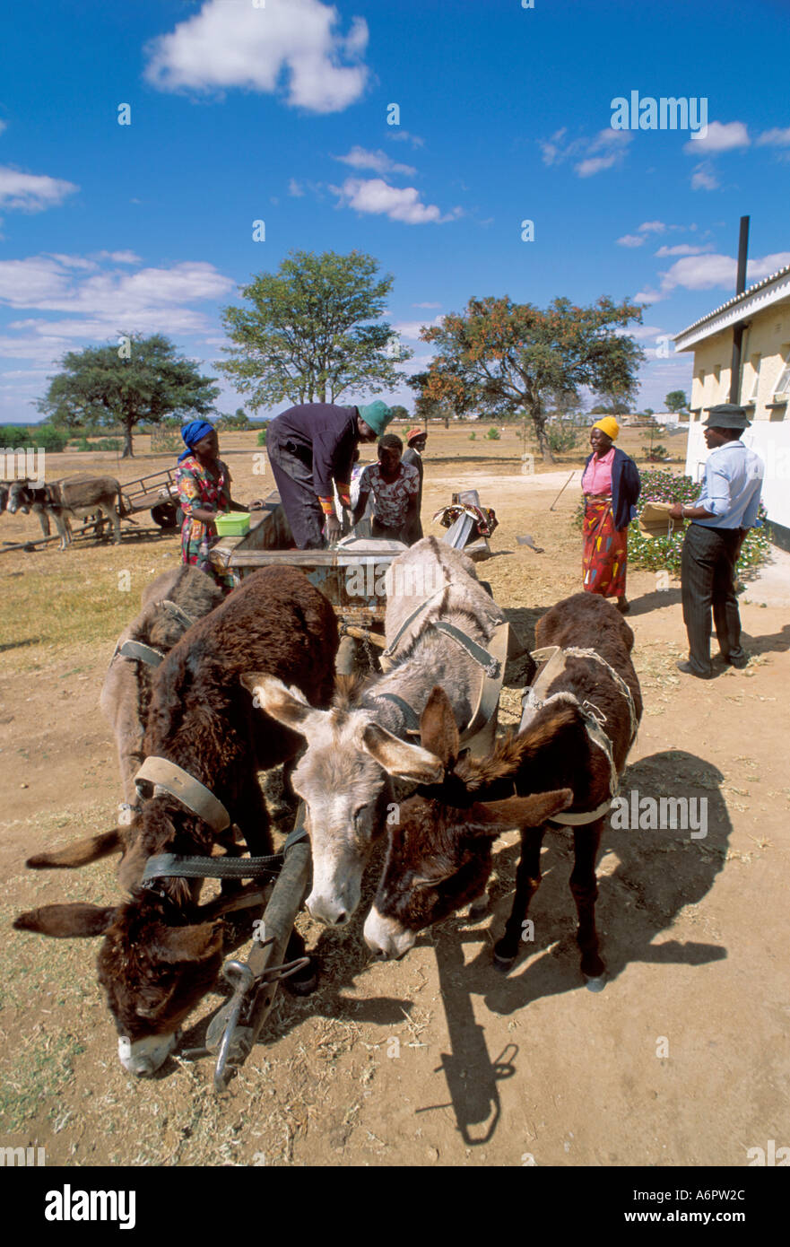 Donkeydrawn scotch cart, Zimbabwe Stock Photo Alamy