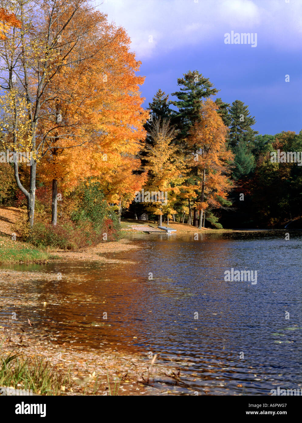 Fall colours in Vermont Stock Photo