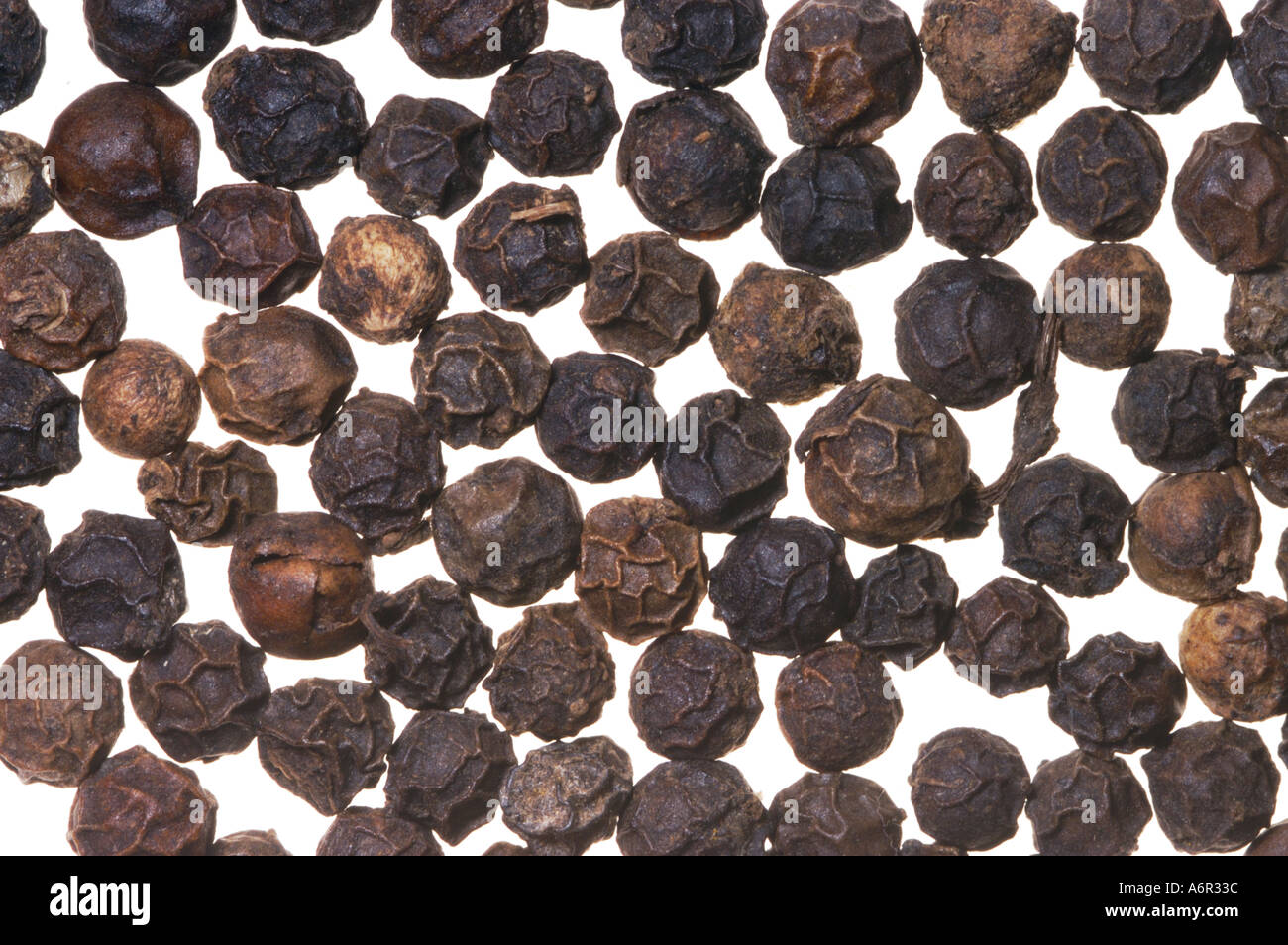 black dark dried dry pepper corns  peppercorn Stock Photo