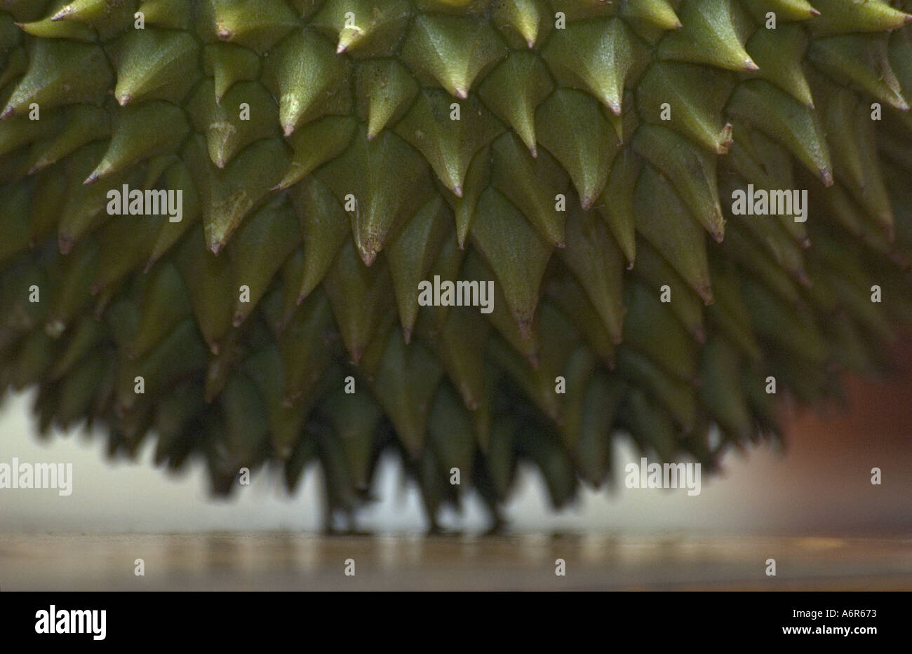 Durian the King of Fruits in Malaysia Stock Photo Alamy