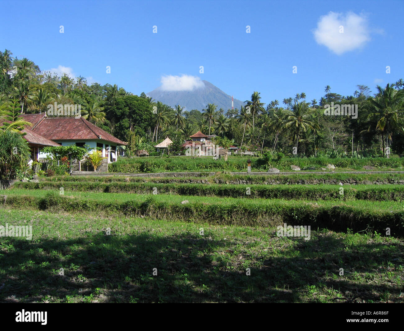 Farmer gunung agung bali hi-res stock photography and images - Alamy