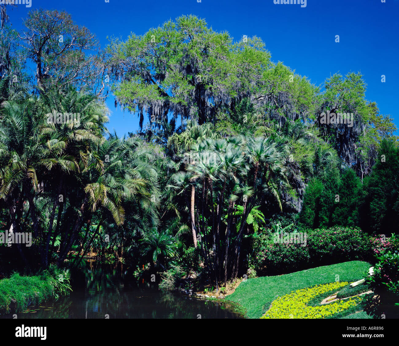 Cypress Gardens in Florida USA Stock Photo