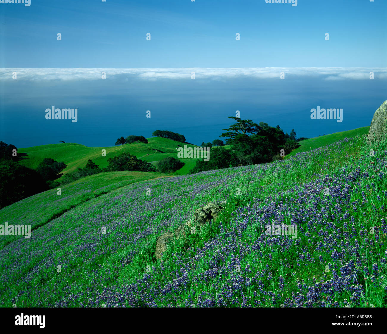 Mt Tamalpais in Marin County California USA Stock Photo