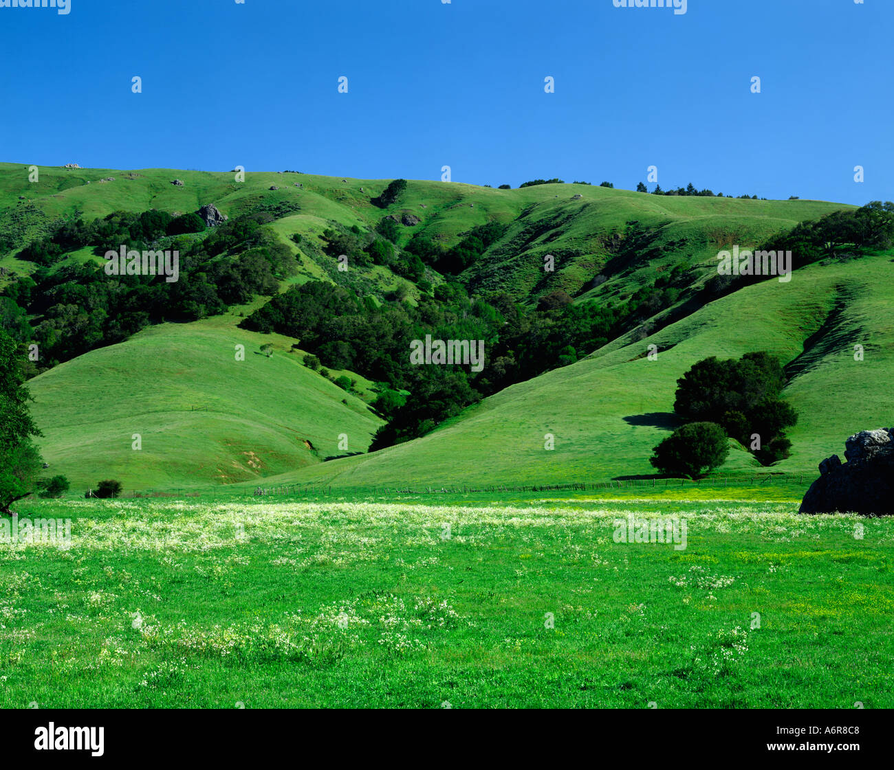 Woodacre hires stock photography and images Alamy