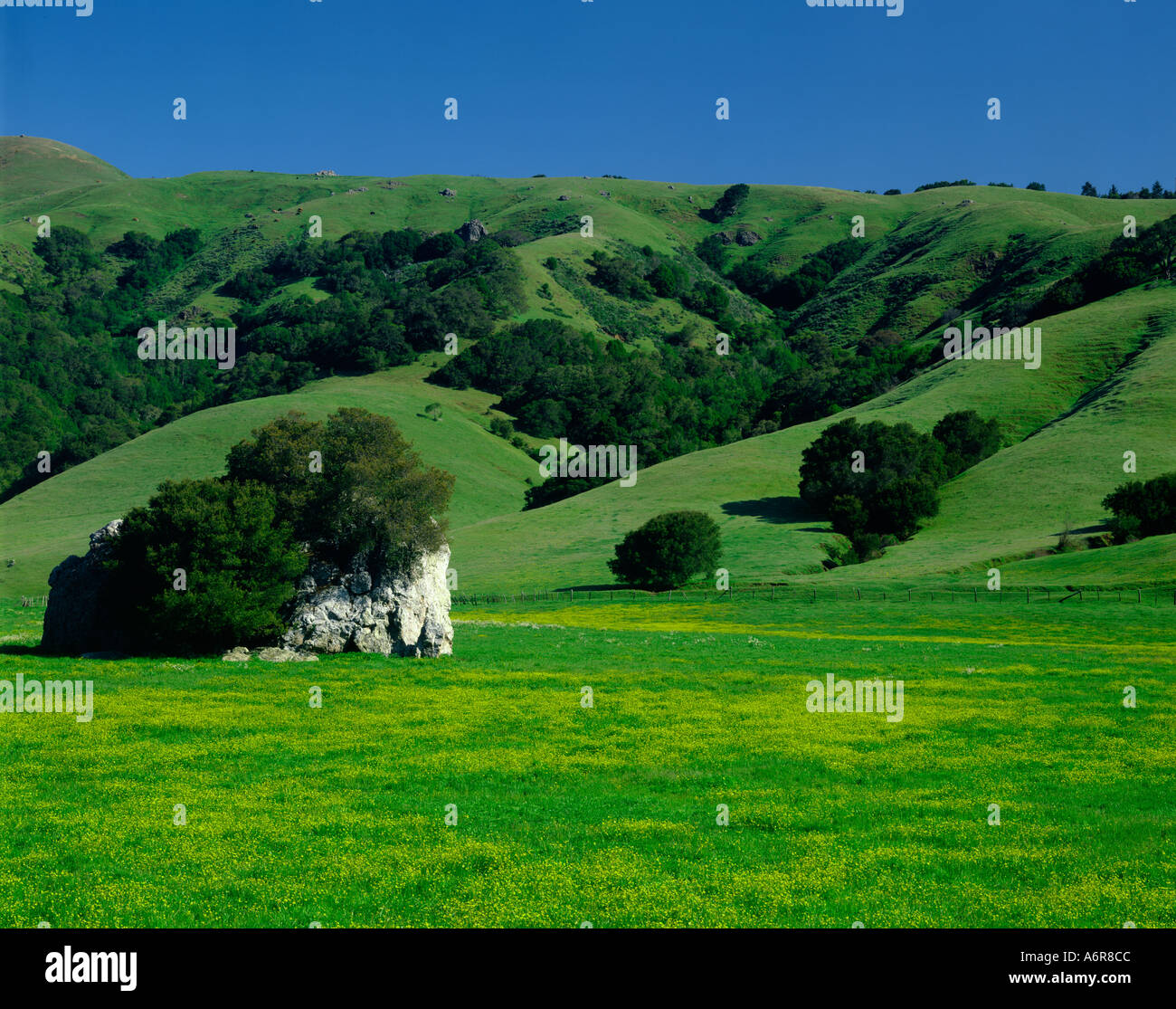 Woodacre hires stock photography and images Alamy