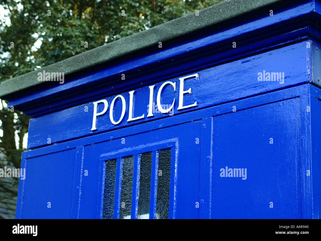 Box with pigs hi-res stock photography and images - Alamy
