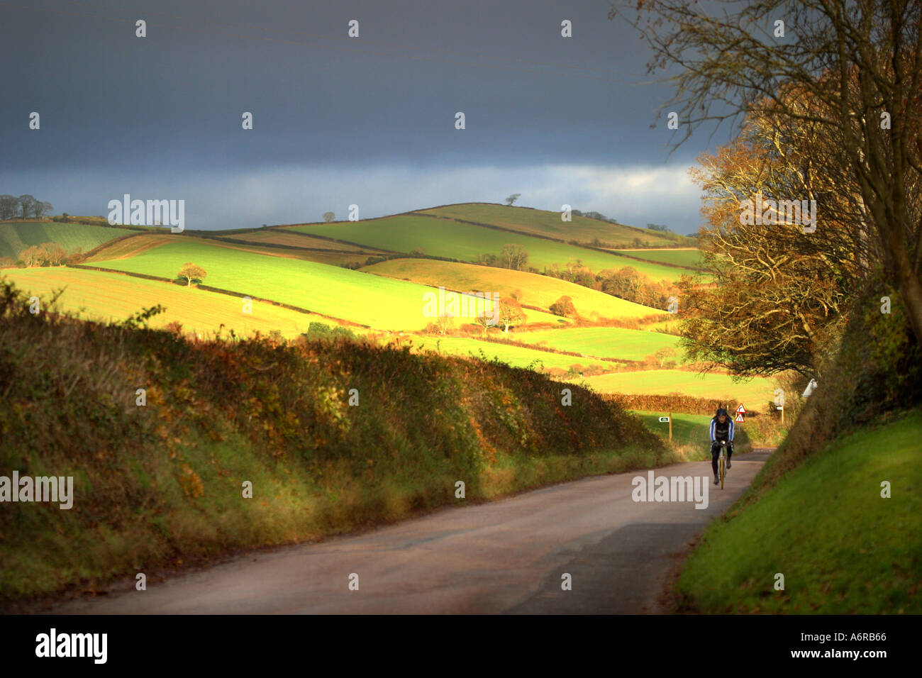 Cyclist along a Devon lane with stormy weather overhead Stock Photo