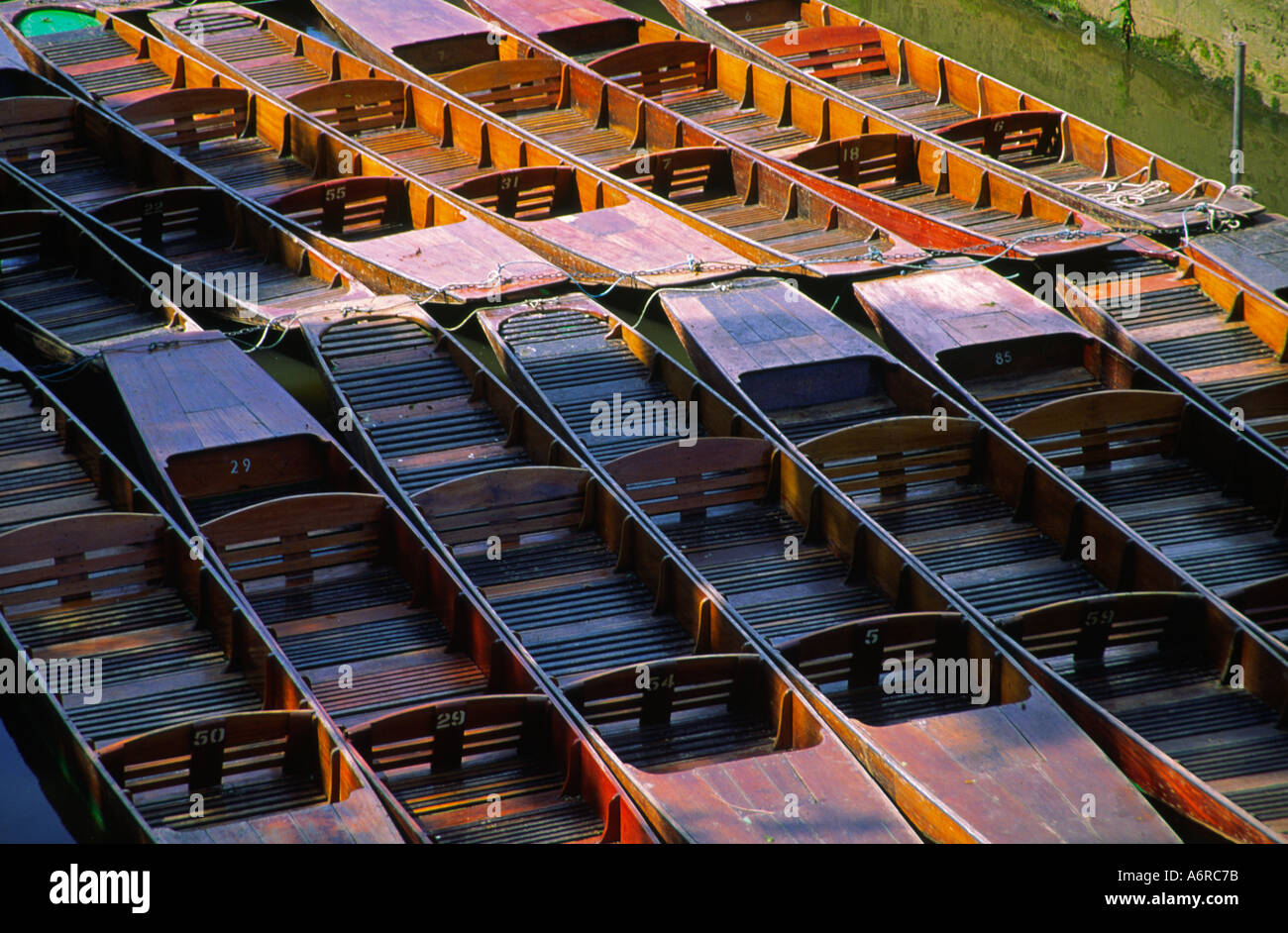 Punts on the river Cherwell Oxford England Stock Photo