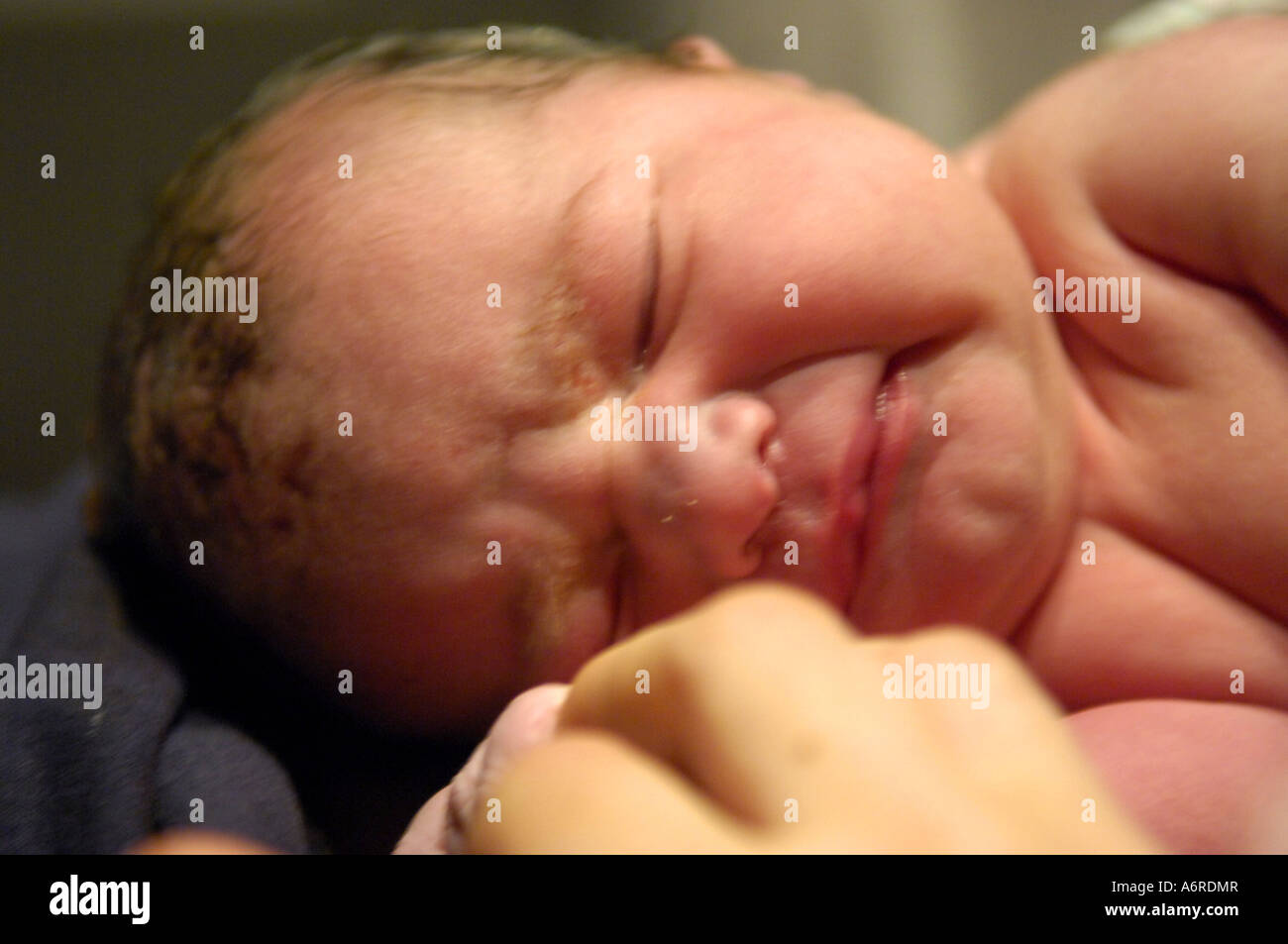 real new born baby