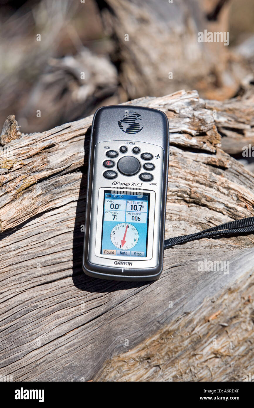 GPS handheld sitting on cedar tree limb Stock Photo Alamy