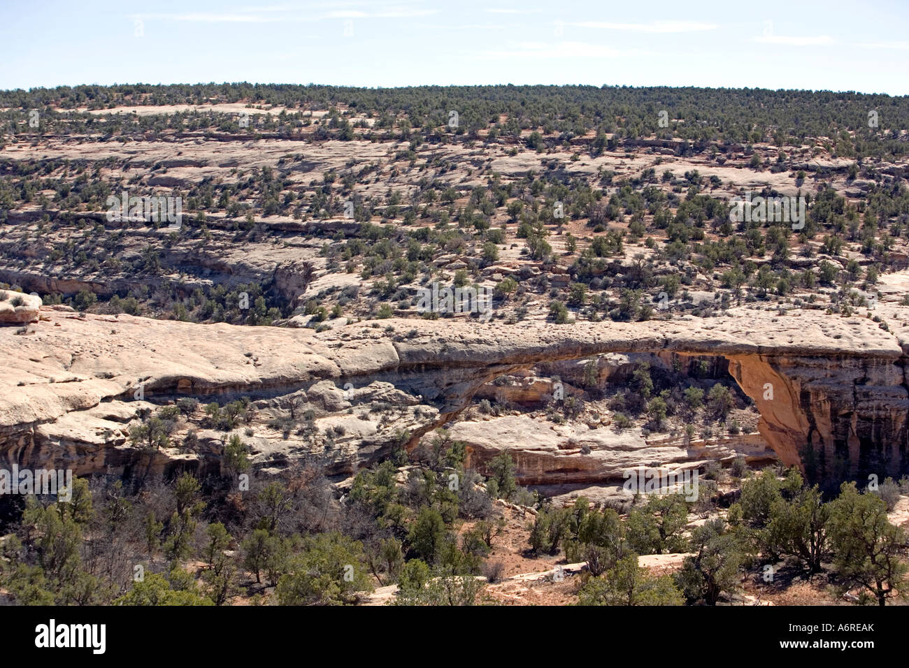 Natural Bridge NM Owachomo Bridge in Natural Bridges National Monument
