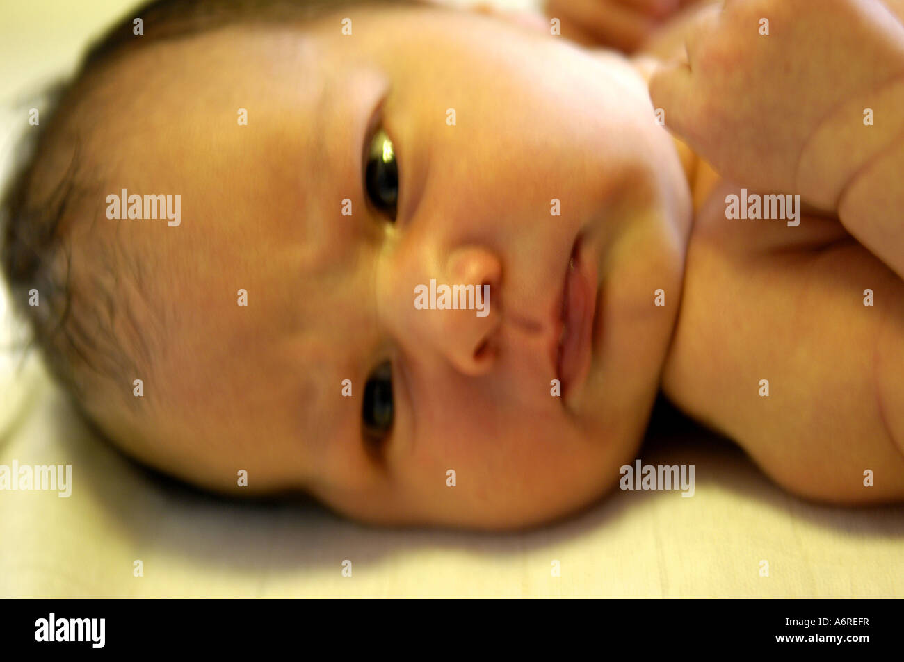 newborn baby caucasian black hair female girl portrait head face