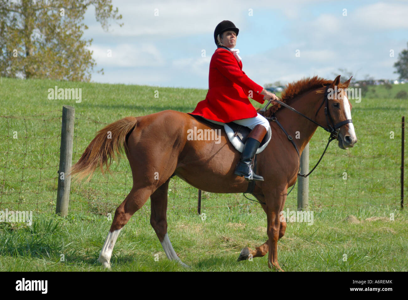 Horse mounted fox hunter in Lexington Kentucky Stock Photo Alamy
