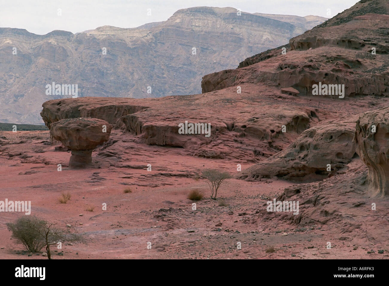 The Mushroom Rock in Timna natural park in Negev desert near Eilat Israel. Stock Photo