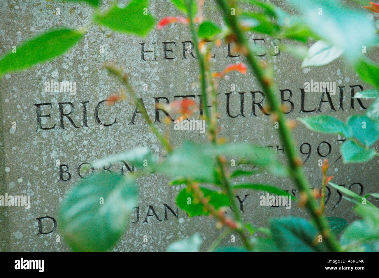 Grave of George Orwell, Sutton Courtenay, Oxfordshire, UK Stock Photo