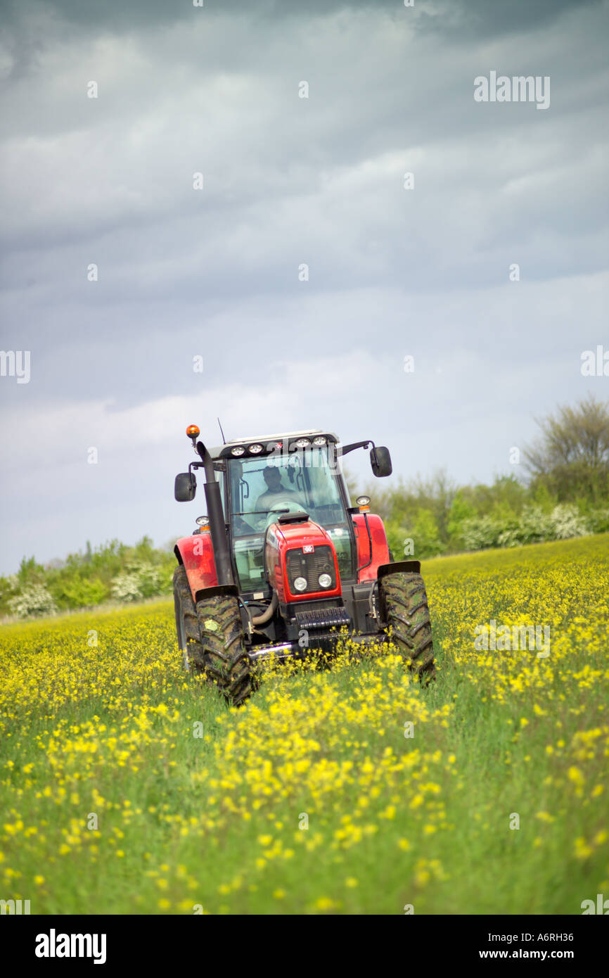 Red tractor on an organic farm in Essex Stock Photo