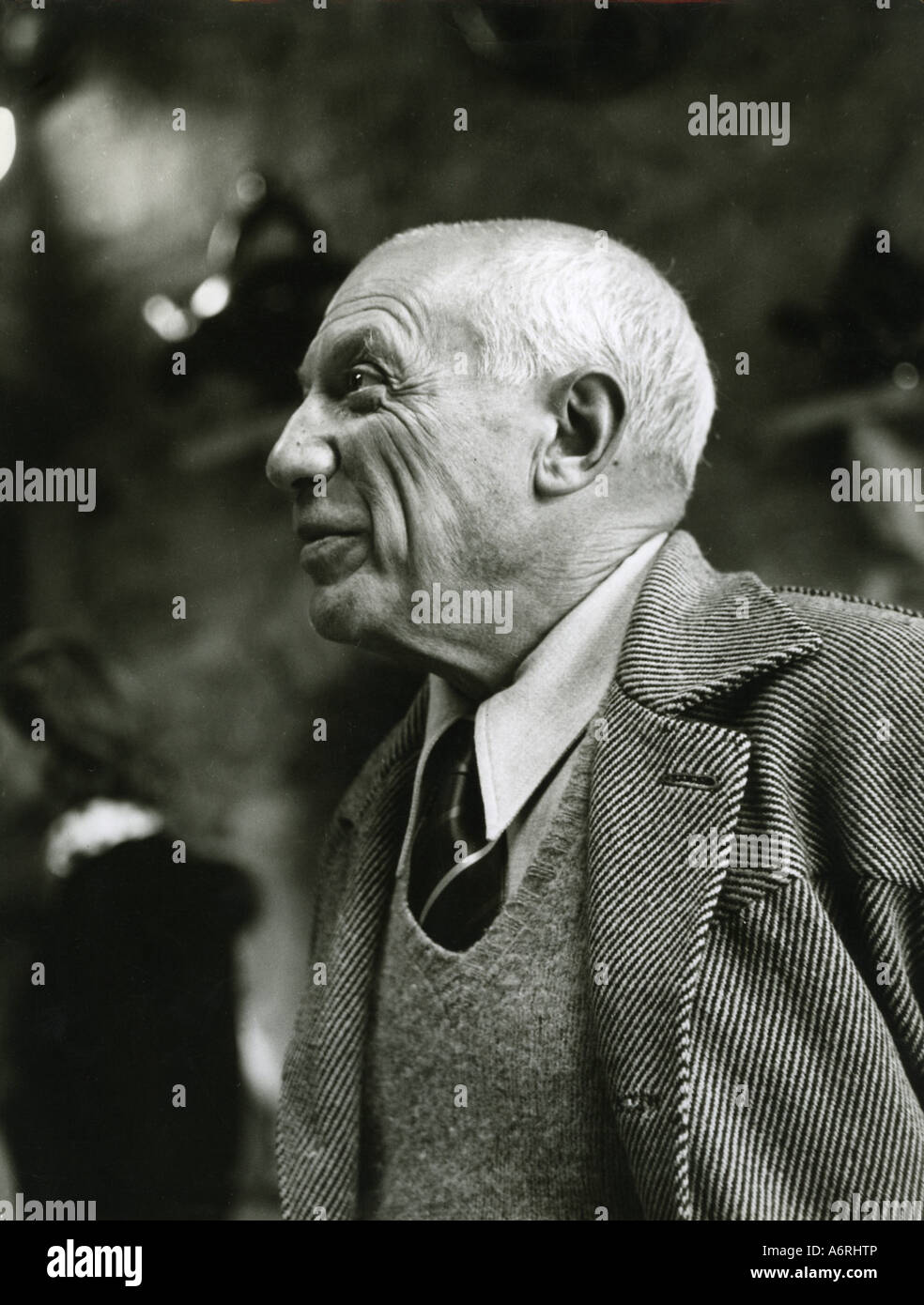 View Pablo Picasso Portrait Photography Pictures