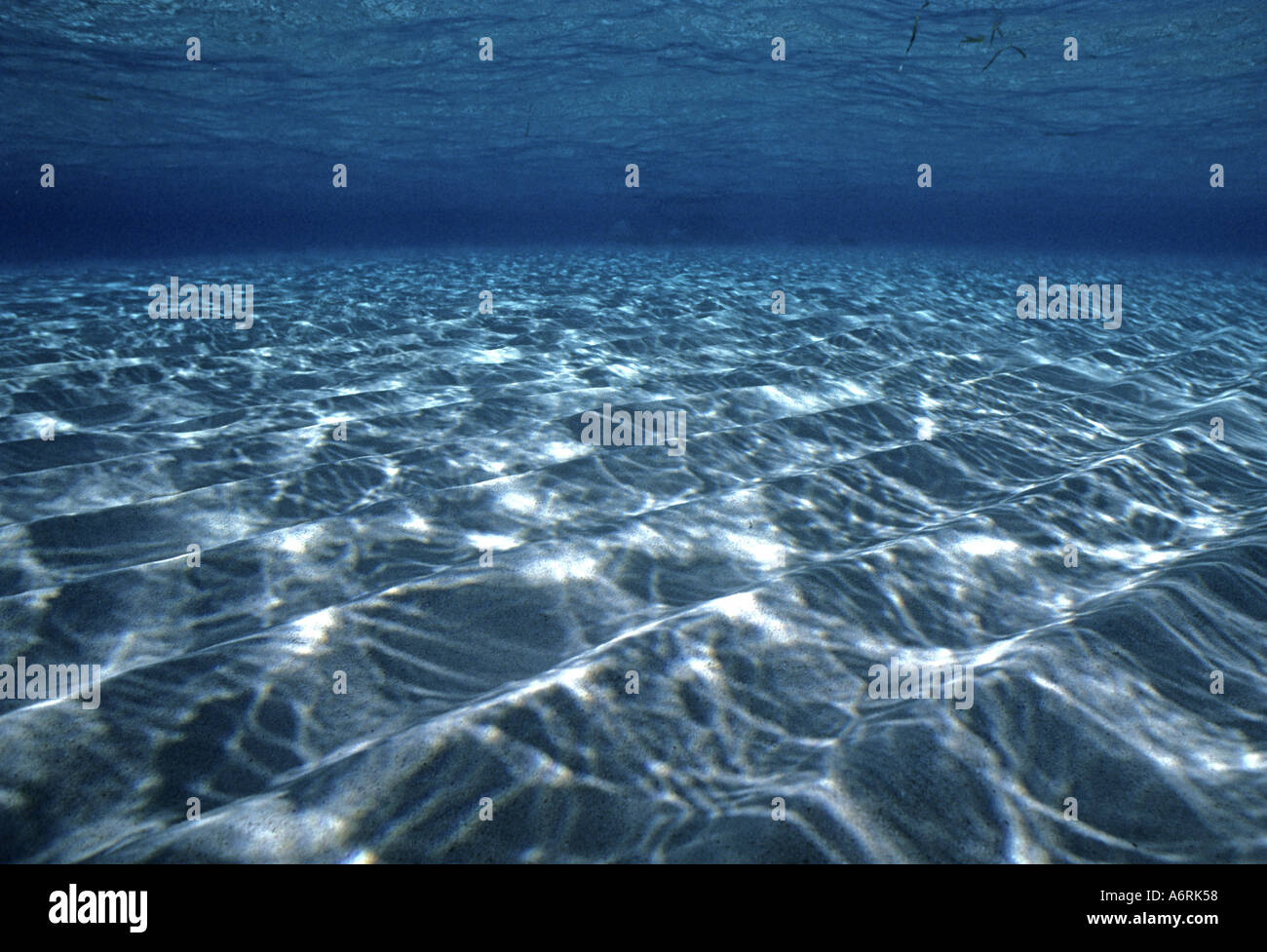 Внутренние воды в океане