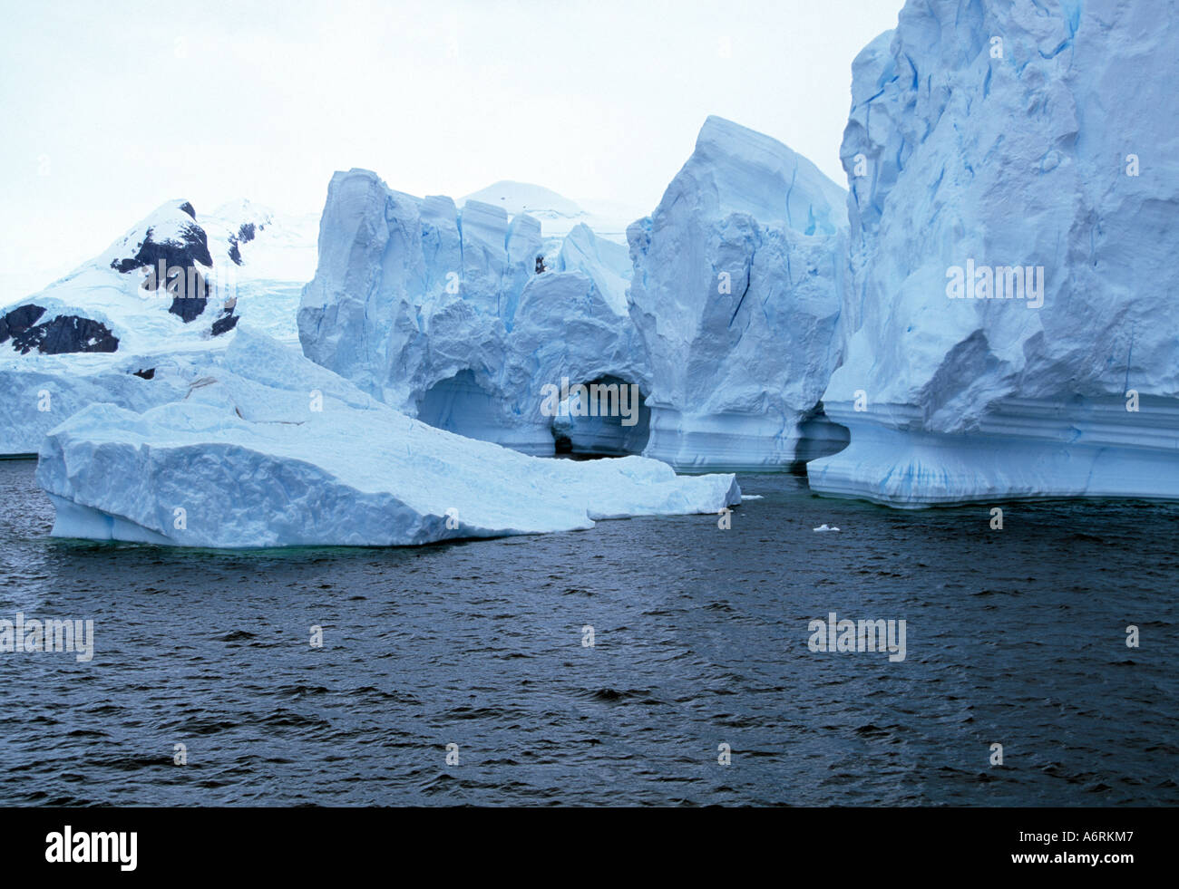 antarctic, antarctica, ice continent, frozen continent, southern