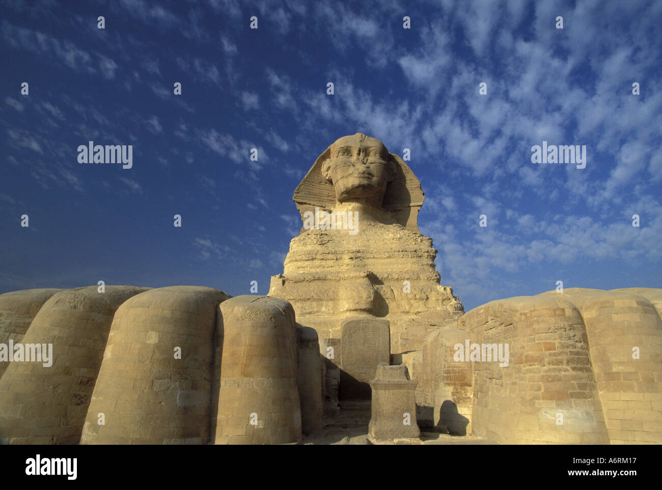 Egypt, Giza, Sphinx, paws and stella, at Giza Pyramids Complex, Giza Plateau Stock Photo