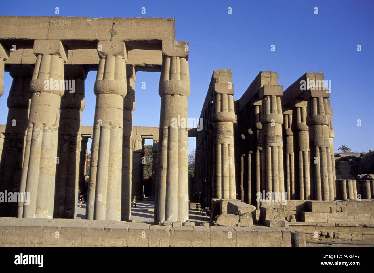 Africa Egypt Luxor Temple Located In The Heart Of Downtown Luxor Stock Photo Alamy Africa Egypt Luxor Temple Located In The Heart Of Downtown Luxor Stock Photo Alamy