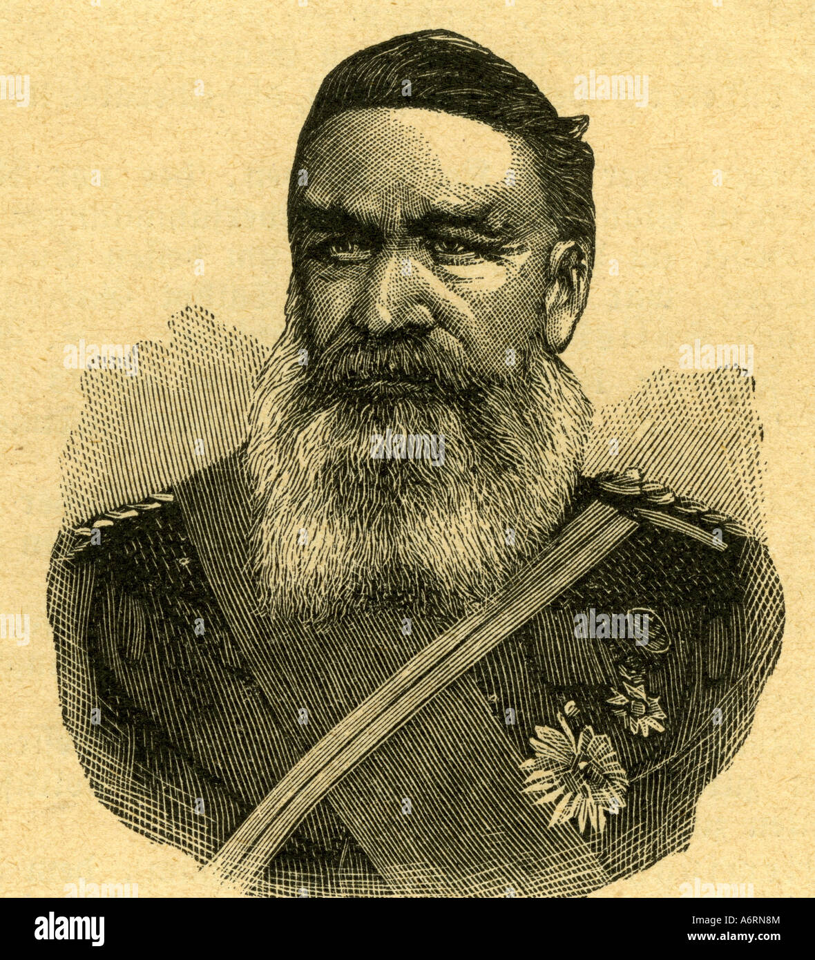 'Joubert, Petrus Jacobus 'Piet', 1834 - 1900, Boer general, portrait, engraving, 19th century, Boer War 1899 - 1902, commandan Stock Photo
