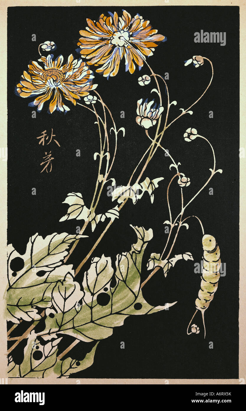 1768, 27,6x17,5 cm, private collection, plants, leaves, animals insects, wood, japanese art, japan, hi-res stock photography and images - Alamy 1768, 27,6x17,5 cm, private collection, plants, leaves, animals insects, wood, japanese art, japan, hi-res stock photography and images - Alamy