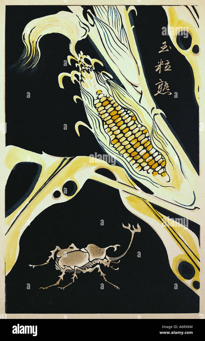 1768, 27,6x17,5 cm, private collection, plants, leaves, animals insects, wood, japanese art, japan, hi-res stock photography and images - Alamy 1768, 27,6x17,5 cm, private collection, plants, leaves, animals insects, wood, japanese art, japan, hi-res stock photography and images - Alamy