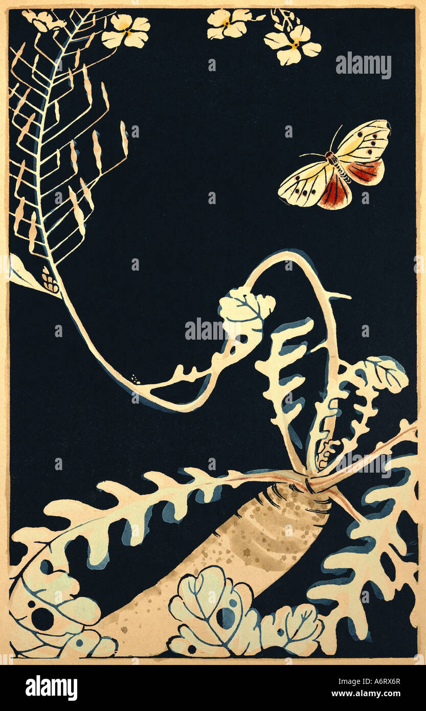 1768, 27,6x17,5 cm, private collection, plants, leaves, animals insects, wood, japanese art, japan, hi-res stock photography and images - Alamy 1768, 27,6x17,5 cm, private collection, plants, leaves, animals insects, wood, japanese art, japan, hi-res stock photography and images - Alamy