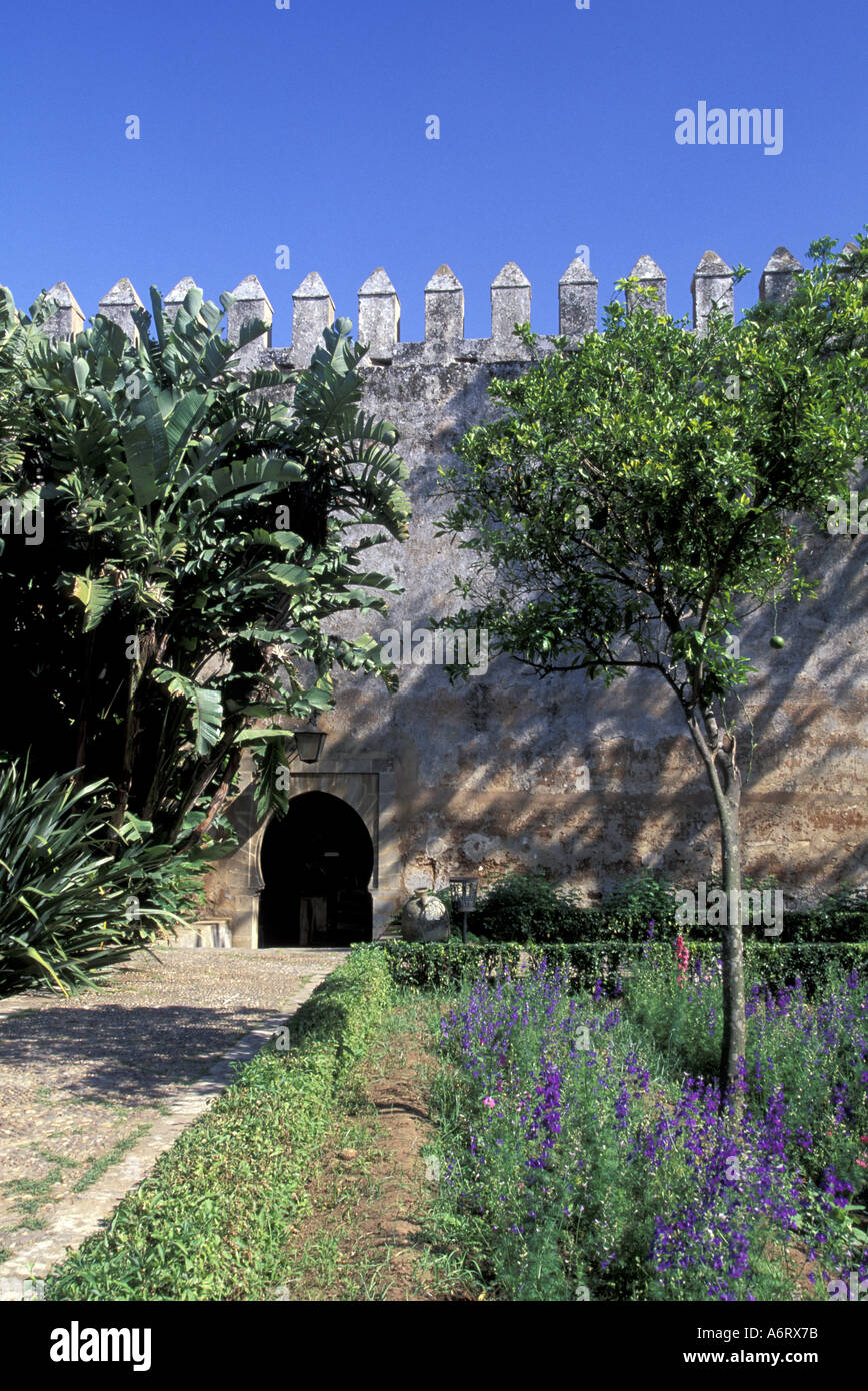 Africa, Morocco, Rabat, Andalusian Gardens and crenellated walls of ...
