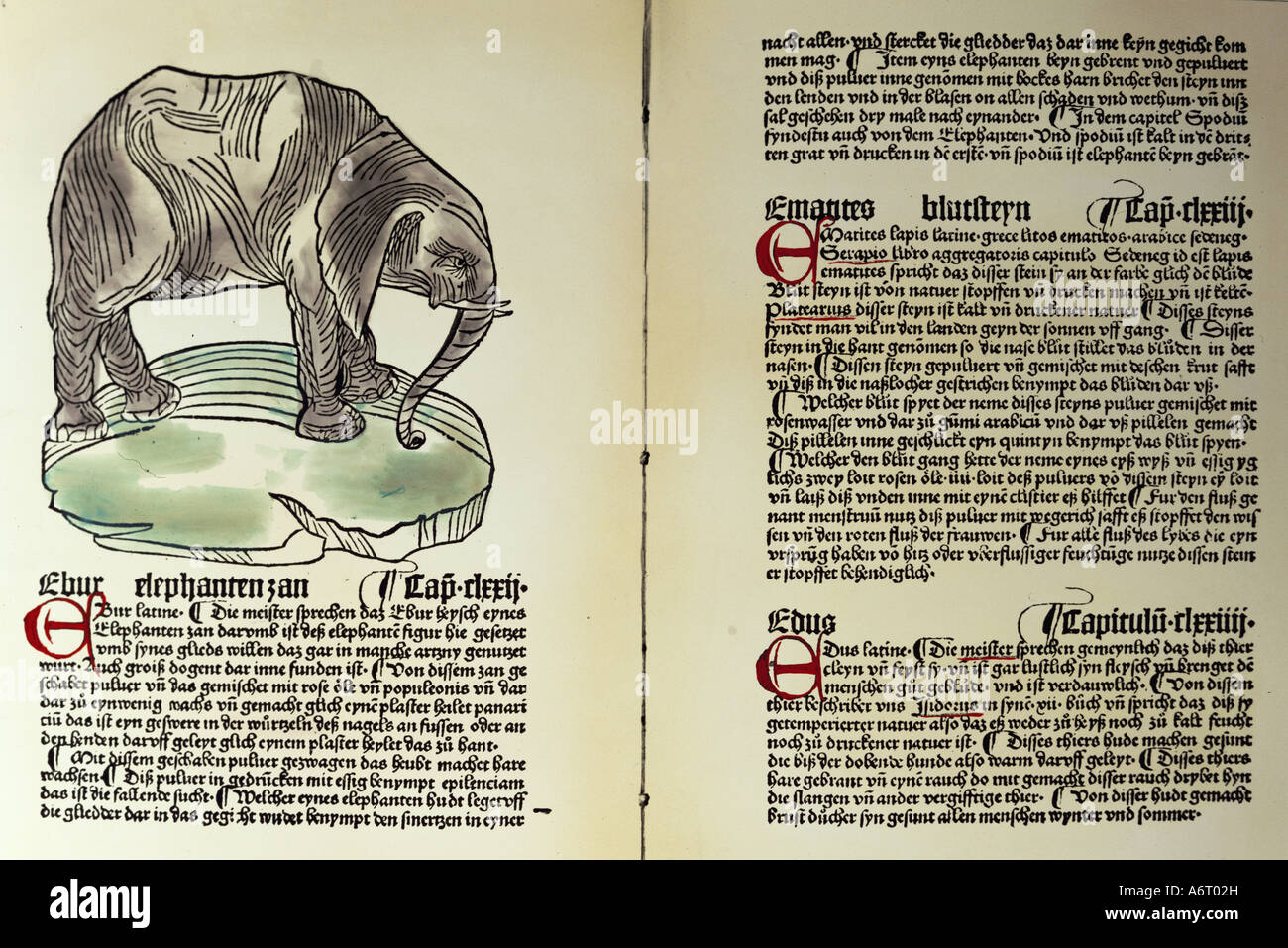 medicine, textbooks, herbal, 'Hortus sanitas', printed by Peter Schöffer, Mainz, 1484, elefants tooth, privat collection, Stock Photo